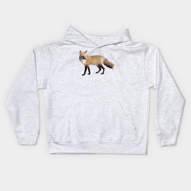 Fox Kids Hoodie by Amy Hamilton